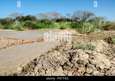 Gli effetti della siccità in Los Santos, una provincia situata a secco zona plantare Panama Foto Stock