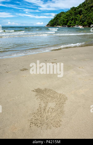 Burrows e sabbia e agglomerati in forma di pellets a sinistra dalla sabbia gorgogliatore granchi sulla spiaggia in Kota Kinabalu, Borneo Malaysia Foto Stock