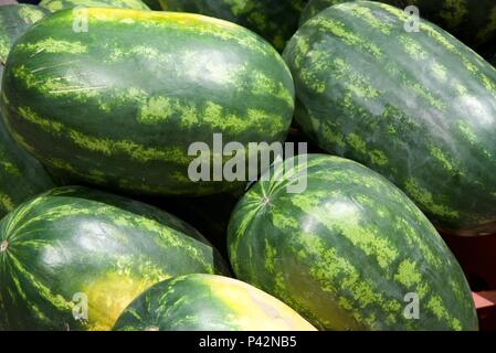 I cocomeri (Citrullus lanatus): una vista ravvicinata di una cassa di cocomeri per la vendita su un mercato Foto Stock
