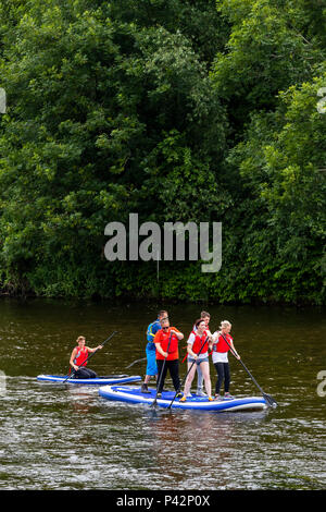 Stand Up Paddle boarding con ispirare a avventura sul fiume Wye a Monmouth. Foto Stock