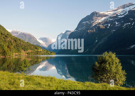 Lago Lovatnet , Stryn, con Bødalsbreen (sinistra) e Kjenndalsbreen (destra) un preferito località turistica nella parte occidentale della Norvegia Foto Stock