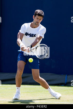 Novak Djokovic di Serbia sessione di pratica durante il giorno 3 dell'albero di febbre i campionati di tennis presso il Queen's Club di Londra, Inghilterra il 18 giugno 2018. Ph Foto Stock