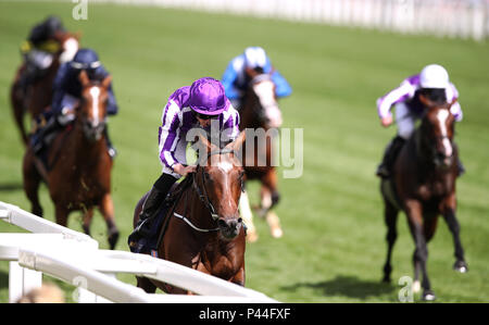 I Giardini di Kew cavalcato da fantino Ryan Lee Moore (centro) sul loro modo di vincere la Queen's vaso gara durante il giorno due di Royal Ascot a Ascot Racecourse. Foto Stock