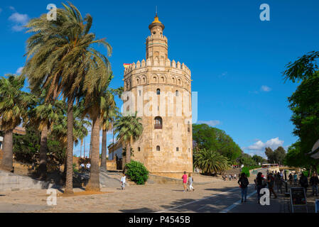 Torre del Oro a Siviglia, vista di Moorish Torre del Oro (torre d'Oro) nel vecchio quartiere della città di Siviglia (Sevilla), Andalusia, Spagna. Foto Stock