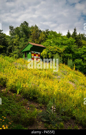 Tradizionale in legno colorato beehive nel giardino di erbe. Gli alveari sono dipinte luminosamente per consentire le api trovano il loro alveari. Foto Stock