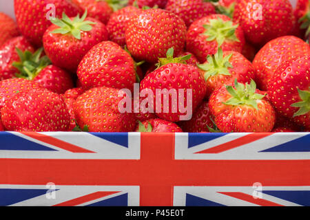 British fragole in unione jack box - REGNO UNITO Foto Stock