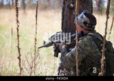 Un soldato da la quarantunesima brigata canadese Gruppo, esercito canadese, scandisce il suo settore su una pattuglia a urban patrol corsia di formazione come parte del Golden Coyote esercizio, West Camp rapido, S.D., 16 giugno 2016. Il Golden Coyote è un esercizio a tre-fase, scenario di esercizio di condotta condotta in Black Hills del Sud Dakota e Wyoming, quali comandanti permette di concentrarsi sulla missione requisiti essenziali per lo svolgimento delle attività e le attività del guerriero e punte di battaglia. (U.S. Esercito foto di Spc. Kristen Root/rilasciato) Foto Stock