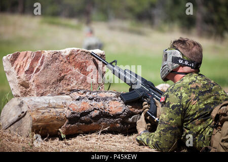 Un soldato da la quarantunesima brigata canadese Gruppo, esercito canadese, prende il coperchio e restituisce il fuoco alla pattuglia urbana corsia di formazione come parte del Golden Coyote esercizio, West Camp rapido, S.D., 16 giugno 2016. Il Golden Coyote è un esercizio a tre-fase, scenario di esercizio di condotta condotta in Black Hills del Sud Dakota e Wyoming, quali comandanti permette di concentrarsi sulla missione requisiti essenziali per lo svolgimento delle attività e le attività del guerriero e punte di battaglia. (U.S. Esercito foto di Spc. Kristen Root/rilasciato) Foto Stock