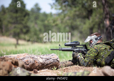 Un soldato da la quarantunesima brigata canadese Gruppo, esercito canadese, prende il coperchio e restituisce il fuoco alla pattuglia urbana corsia di formazione come parte del Golden Coyote esercizio, West Camp rapido, S.D., 16 giugno 2016. Il Golden Coyote è un esercizio a tre-fase, scenario di esercizio di condotta condotta in Black Hills del Sud Dakota e Wyoming, quali comandanti permette di concentrarsi sulla missione requisiti essenziali per lo svolgimento delle attività e le attività del guerriero e punte di battaglia. (U.S. Esercito foto di Spc. Kristen Root/rilasciato) Foto Stock