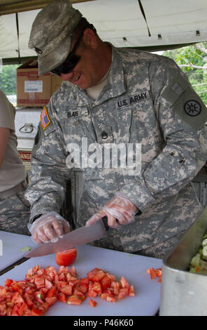 A.P. HILL, VA. - Staff Sgt. Eugene Blais, food service management noncommissioned officer in carica, taglia i pomodori per il salad bar a Quartermaster Logistica liquido di esercizio 2016. Circa 400 soldati passano attraverso il campo area pranzo durante la cena. (U.S. Esercito foto di Sgt. James Bradford, 372 Mobile degli affari pubblici distacco) Foto Stock