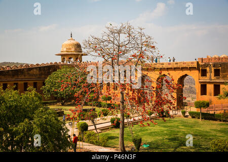 JAIPUR, INDIA-Marzo 4: Forte Amer il 4 marzo 2018 a Jaipur, India. Forte Amer su Holi Foto Stock