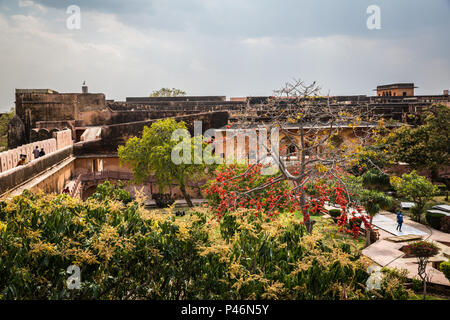 JAIPUR, INDIA-Marzo 4: Forte Amer il 4 marzo 2018 a Jaipur, India. Forte Amer su Holi Foto Stock