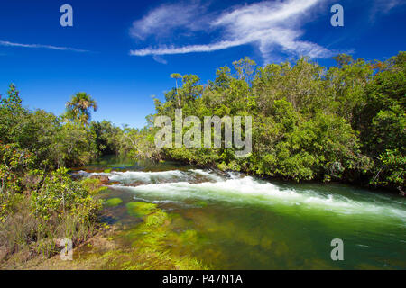 Costa Rica / Mato Grosso do Sul - 30/04/2013: Paisagem do Parque Nacional das Emas, unidade de conservação no Cerrado brasileiro. (Foto: Daniel de Granville / Fotoarena) Foto Stock