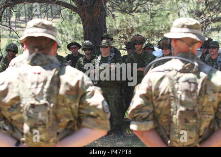 I soldati del Danish Home Guard dare una missione e la sicurezza breve ai soldati della Task Force 41, Esercito Canadese, prima di condurre urban patrol training per il Golden Coyote esercitazione a West Camp rapido, Rapid City, S.D. Giugno 16, 2016. Questo training è stato il frutto di una collaborazione tra il danese, canadesi e soldati americani, dando uno sguardo alle diverse strategie di combattimento in ambiente urbano. Foto Stock