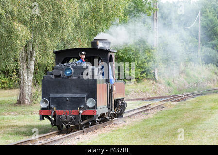 Un locomotore di Chemin de Fer a scartamento ridotto ferrovie a vapore a Rille nel Pays de la Loire. Foto Stock