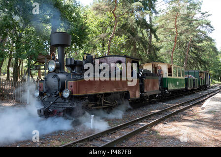 Un locomotore di Chemin de Fer a scartamento ridotto ferrovie a vapore a Rille nel Pays de la Loire. Foto Stock
