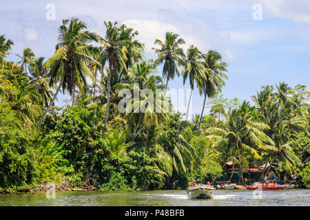 Speedboat velocizzando e turisti a bordo di una barca in un lussureggiante paesaggio tropicale e palme sul fiume Madu, Madu Ganga zone umide, sud-occidentale dello Sri Lanka Foto Stock