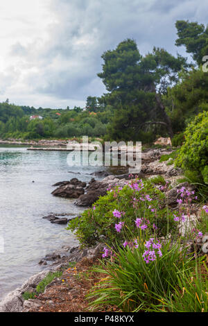 Uvala Gradina, una piccola caletta tranquilla in Zaljev Vela Luka sull isola di Korčula, Dubrovnik-Neretva, Croazia Foto Stock