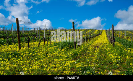 Terreni agricoli in Sicilia tra Sciacca e Palermo, catturata in una giornata di sole nel gennaio 2018. Foto Stock