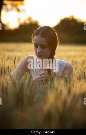 Signora giovane/ragazza sedeva in un dorato campo di orzo al tramonto Foto Stock