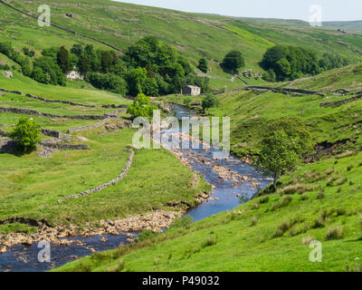 Vista lungo Whitsundale Beck Yorkshire Dales National Park con la pietra di fienili muri in pietra a secco e la valle verde Inghilterra REGNO UNITO Foto Stock