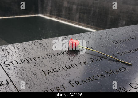 Unico rosso su strada sul nome a 9/11 Memorial Sud piscina. Ogni mattina una singola rosa bianca collocata in corrispondenza di ogni nome di persona il loro compleanno. Foto Stock