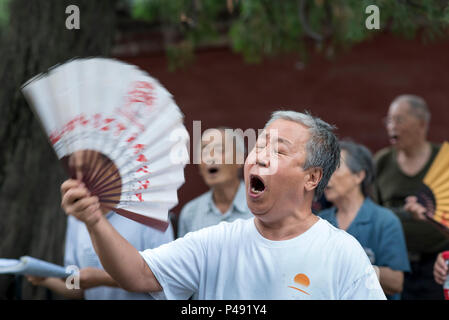 Coro amatoriale canta brani folk sabato mattina nel parco che circonda il Tempio del Cielo a Pechino, Cina Foto Stock