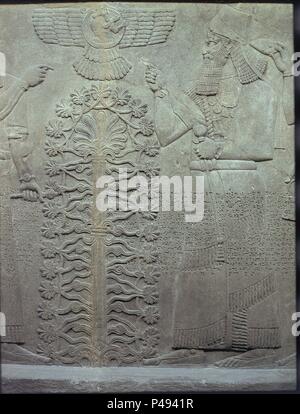 ASHURNASIRPAL II DIOS ASSUR JUNTO AL ARBOL SAGRADO - 865 AC - alleviare. Posizione: British Museum di Londra, Inghilterra. Foto Stock