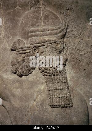 Allentamento del PALACIO DE NINIVE - DETALLE DE LA CABEZA DE ASIRIO DELLE NAZIONI UNITE. Posizione: British Museum di Londra, Inghilterra. Foto Stock