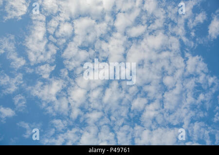 Sky con cirrocumulus Cirrus nuvole Foto Stock