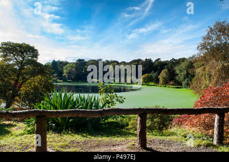 Montare Stewart colori autunnali Boating Lake County Down Irlanda del Nord Foto Stock