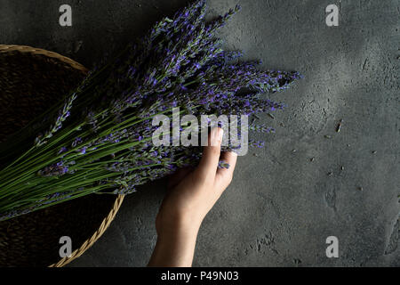 Mani femminili azienda profumo di lavanda fiori sul rustico sfondo scuro Foto Stock
