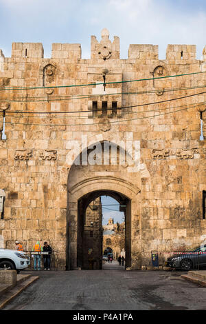 Cancello dei Leoni, Gerusalemme, Israele, Medio Oriente Foto Stock