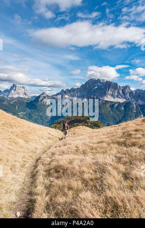 Il monte Sasso Bianco, Dolomiti, Alleghe, provincia di Belluno, Veneto, Italia, Europa. Vista del Monte Pelmo e Monte Civetta Foto Stock