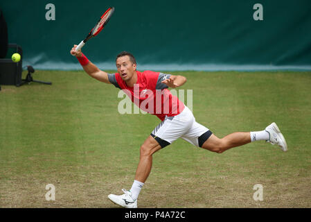 Halle, Germania. Il 21 giugno, 2018. Tennis ATP Tour, singoli, uomini, round del 16. Germania Philipp KOHLSCHREIBER: risultati nei in azione contro Australia Ebden. Credito: Friso Gentsch/dpa/Alamy Live News Foto Stock