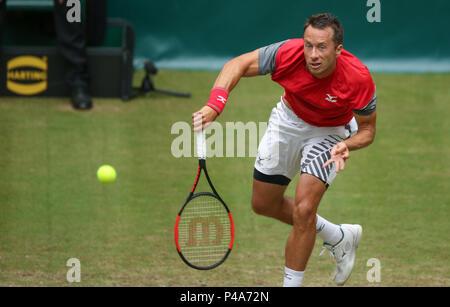 Halle, Germania. Il 21 giugno, 2018. Tennis ATP Tour, singoli, uomini, round del 16. Germania Philipp KOHLSCHREIBER: risultati nei in azione contro Australia Ebden. Credito: Friso Gentsch/dpa/Alamy Live News Foto Stock