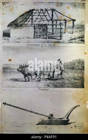 VIAJES POR CILE Y LA PLATA - CONSTRUCCION DE UNA CABAÑA Y ARADOS - GRABADO SIGLO XIX. Autore: MIERS JOHN. Posizione: Academia de la historia-COLECCION, MADRID, Spagna. Foto Stock