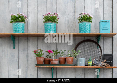 Vasi di fiori e del giardinaggio oggetti su scaffali a flower show. Regno Unito Foto Stock