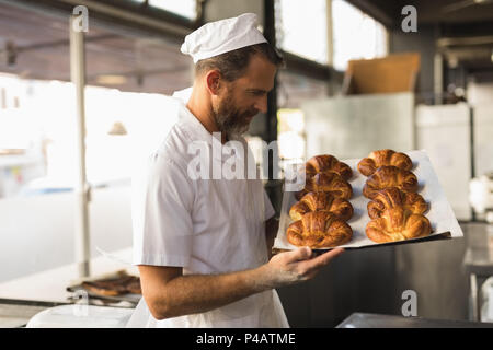 Voce maschile baker tenendo il vassoio di crescent rotoli Foto Stock