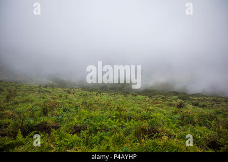 Portogallo Azzorre, l'isola di Faial, Cabeco Gordo, caldera nebbia Foto Stock