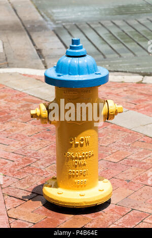 Deland Florida USA. 2018. Un idrante di fuoco per uso da parte di vigili del fuoco in un angolo della strada. Foto Stock