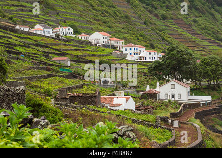Portogallo Azzorre, Santa Maria Island, Maia, vista in elevazione della città e di roccia vulcanica vigneti Foto Stock