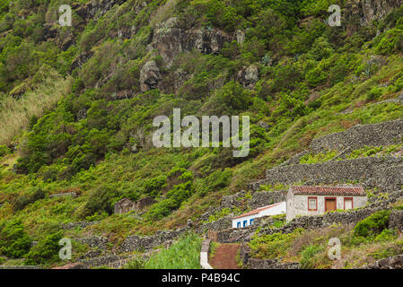 Portogallo Azzorre, Santa Maria Island, Maia, vista in elevazione della città e di roccia vulcanica vigneti Foto Stock