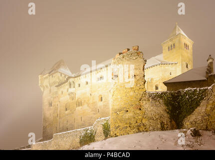 Maria Enzersdorf, Liechtenstein castello, proiettore, Wienerwald, boschi di Vienna, Austria Inferiore, Austria Foto Stock