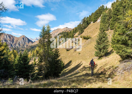 Il monte Sasso Bianco, Dolomiti, Alleghe, provincia di Belluno, Veneto, Italia, Europa. Un escursionista nel salire alla cima del monte Sasso Bianco Foto Stock