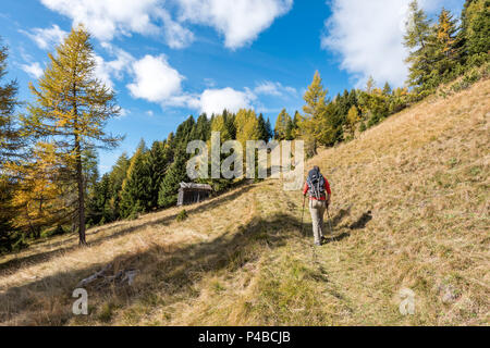 Il monte Sasso Bianco, Dolomiti, Alleghe, provincia di Belluno, Veneto, Italia, Europa. Un escursionista nel salire alla cima del monte Sasso Bianco Foto Stock