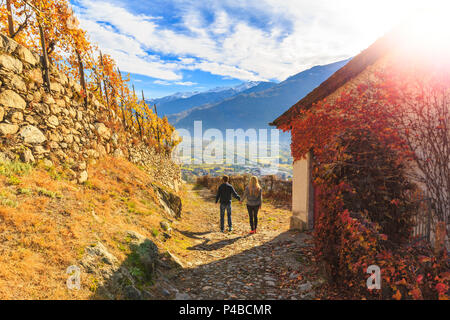 Due persone che camminano su di un sentiero tra i vigneti e una copertura della casa di uva americana foglie. A Poggiridenti, Valtellina, provincia di Sondrio, Lombardia, Italia. Foto Stock