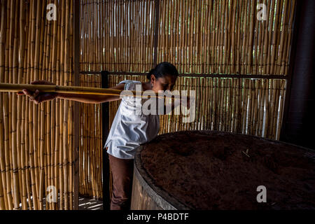 Professional test donna sua mezcal presso una distilleria in stato di Oaxaca in Messico Foto Stock