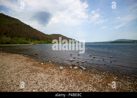 Rive del lago Bassenthwaithe al punto blackstock guardando verso la vendita è sceso nel Lake District Cumbria Inghilterra England Regno Unito Foto Stock