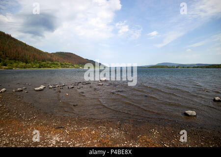 Rive del lago Bassenthwaithe al punto blackstock guardando verso la vendita è sceso nel Lake District Cumbria Inghilterra England Regno Unito Foto Stock